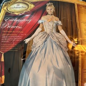 Cinderella costume